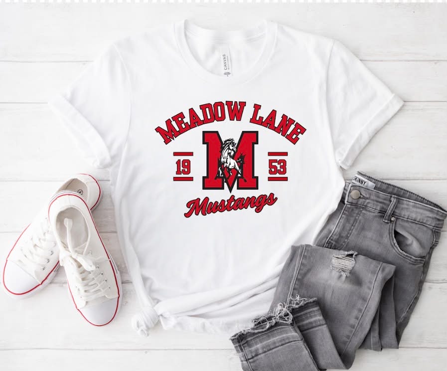 Meadow Lane Elementary #1