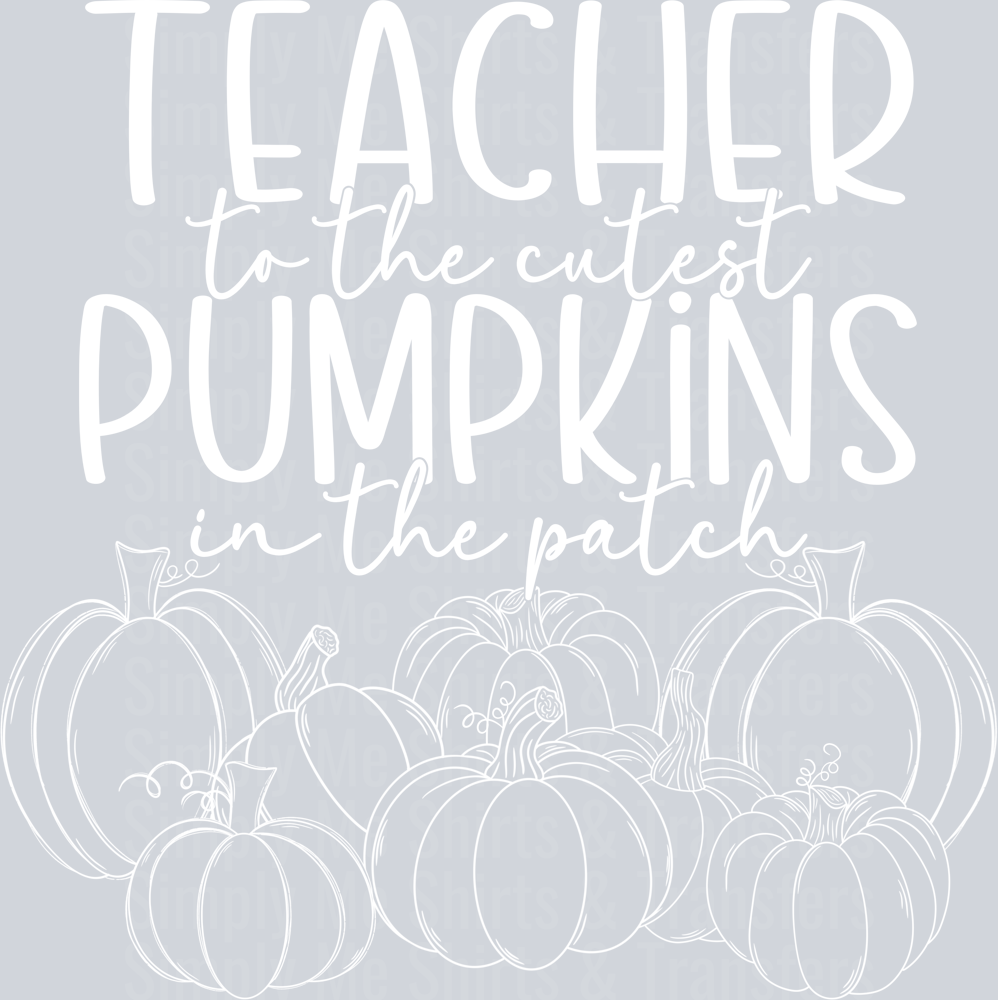 Teacher pumpkins white