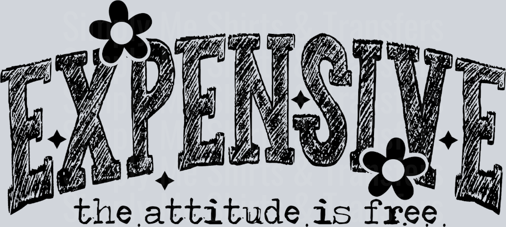 EXPENSIVE THE ATTITUDE IS FREE
