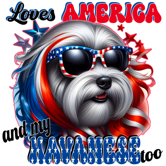 Havanese