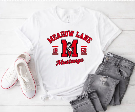 Meadow Lane Elementary #1