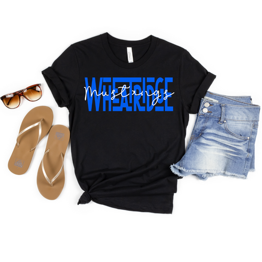 Wheatridge Middle School #12