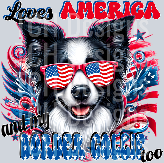 Border Collie