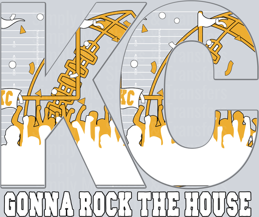 Gonna Rock The House