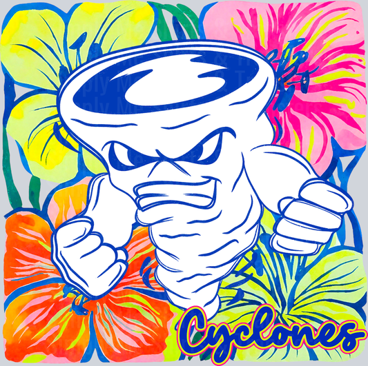 Cyclones