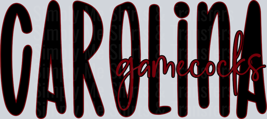 Carolina Gamecocks