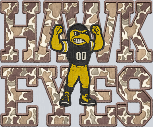 Iowa Hawkeyes