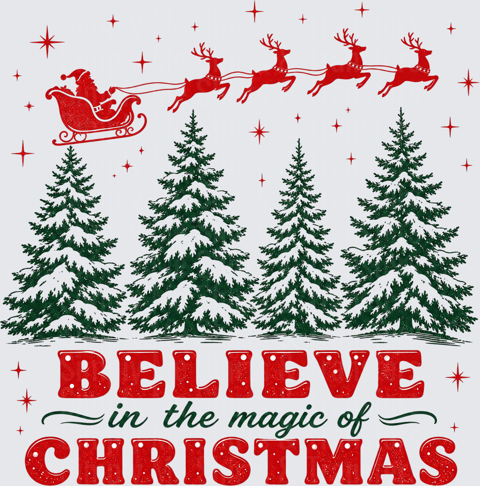 Believe in the Magic of Christmas Santa Sleigh