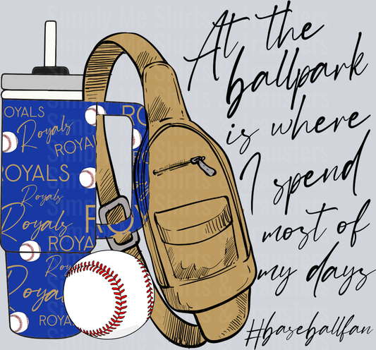 Baseball Ballpark