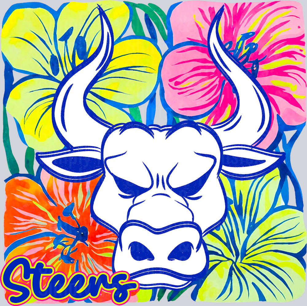 Steers