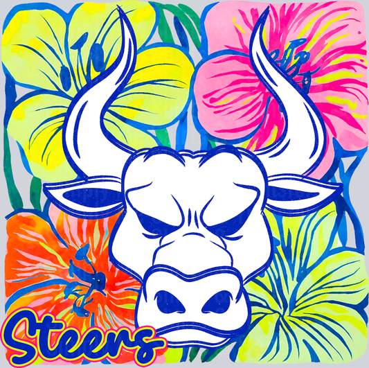 Steers