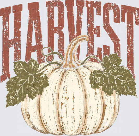 Harvest Pumpkin Distressed