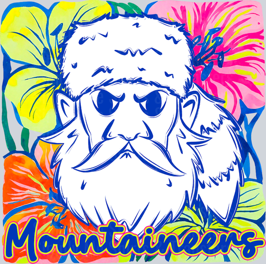Mountaineers