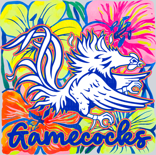 Gamecocks2