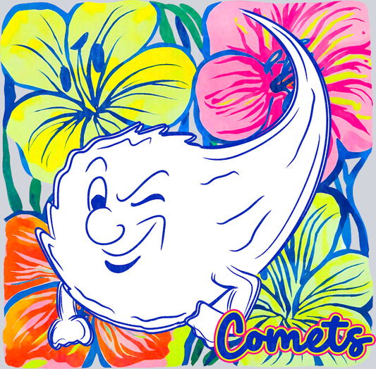 Comets