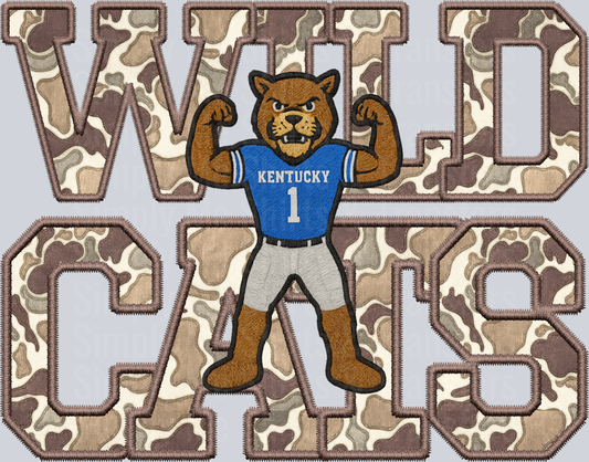 Kentucky Wildcats