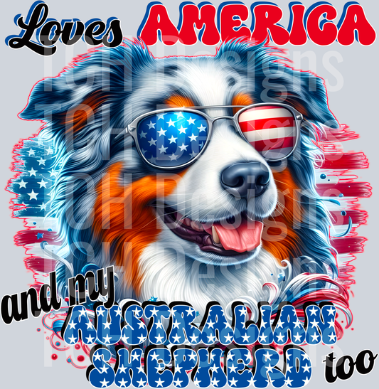 Australian Shepherd