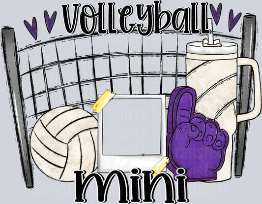 VolleyballMini