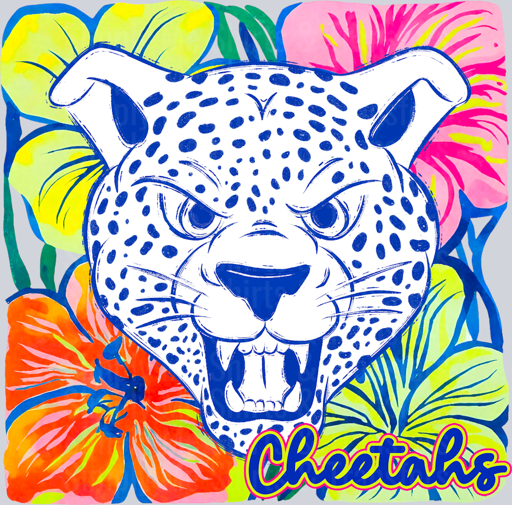 Cheetahs