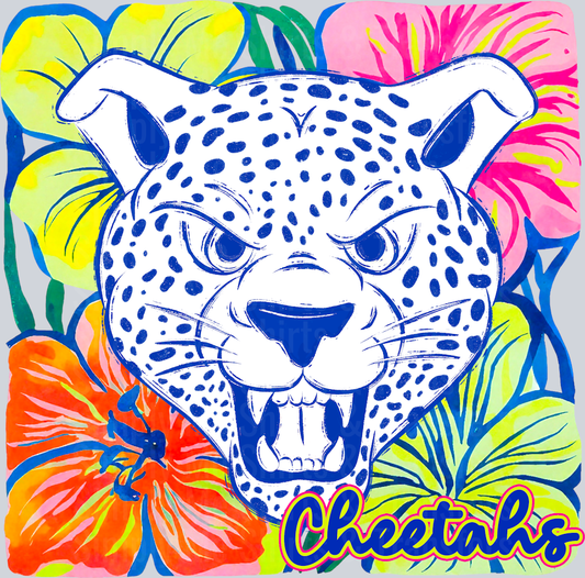 Cheetahs