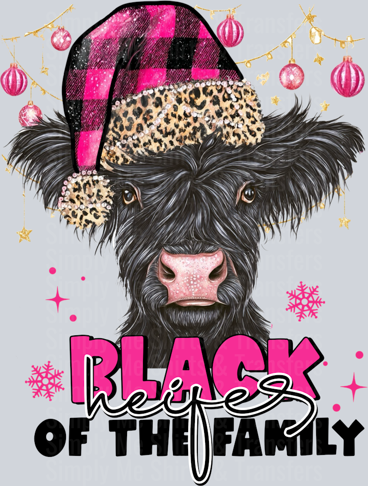 Black heifer
