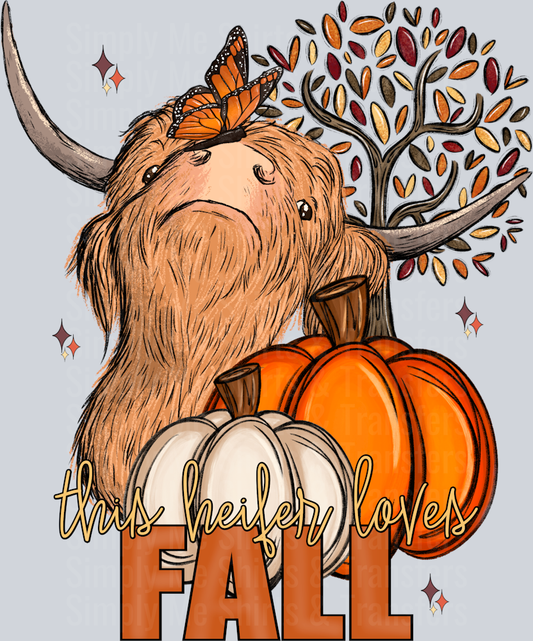 Heifer-Loves-Fall