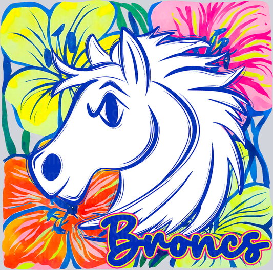 Broncs