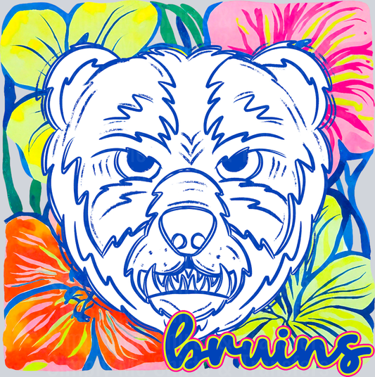 Bruins