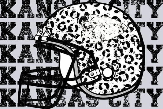 207-2025