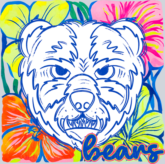 Bears