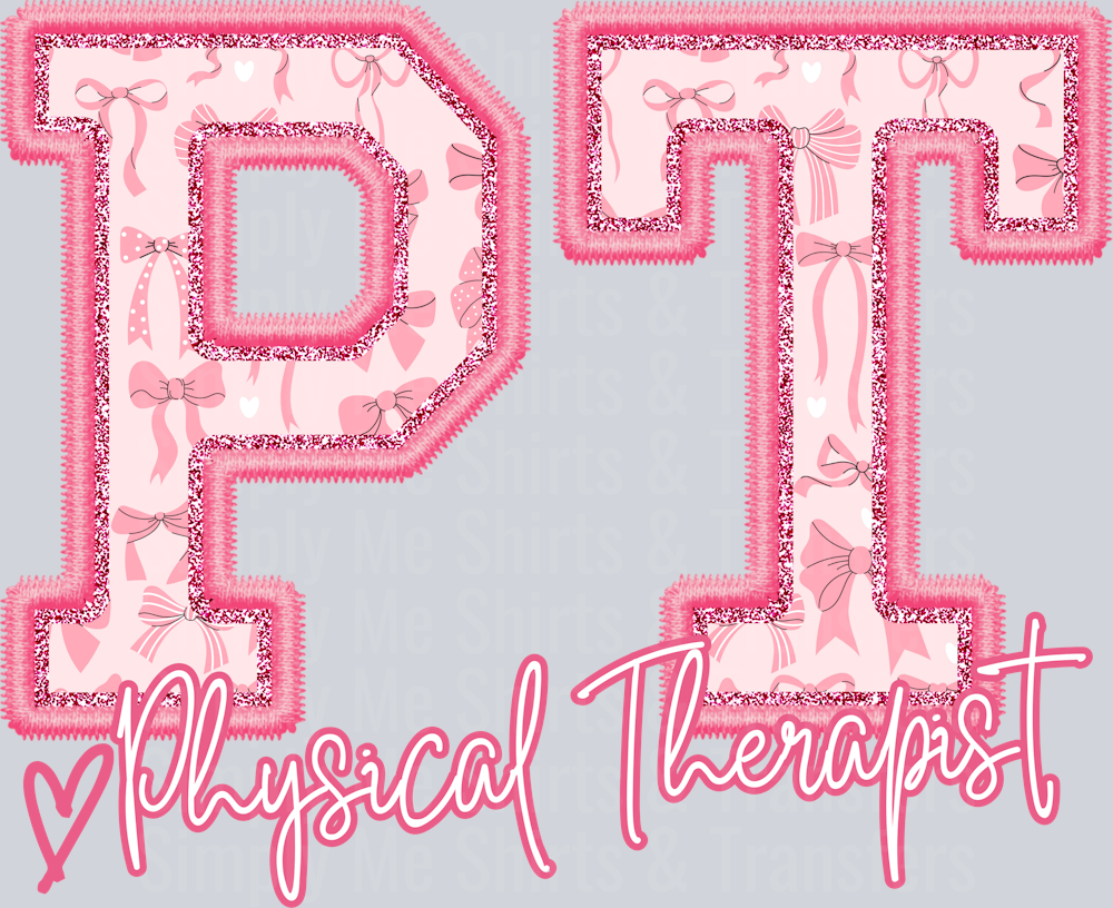 Physical Therapist