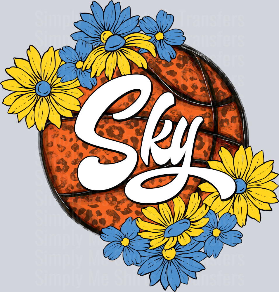 SkyBasketball