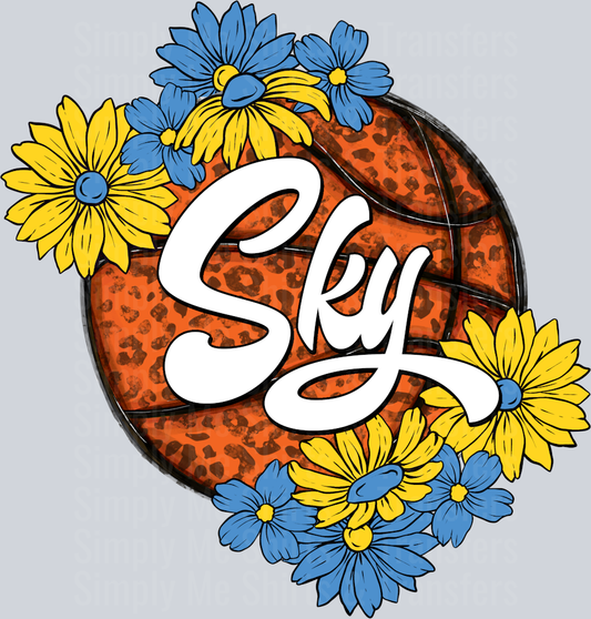 SkyBasketball
