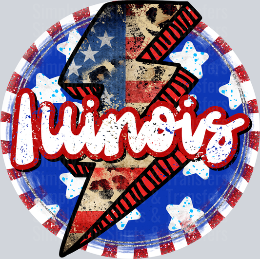 Patriotic_Illinois