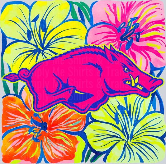 Razorbacks