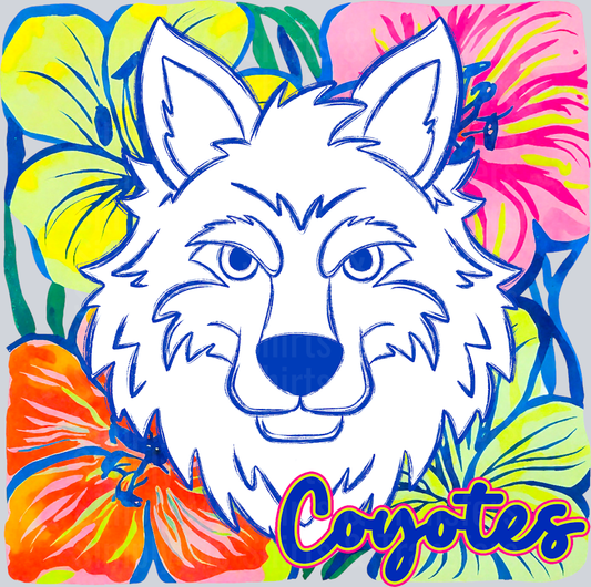 Coyotes